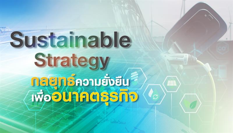 Sustainable Strategy